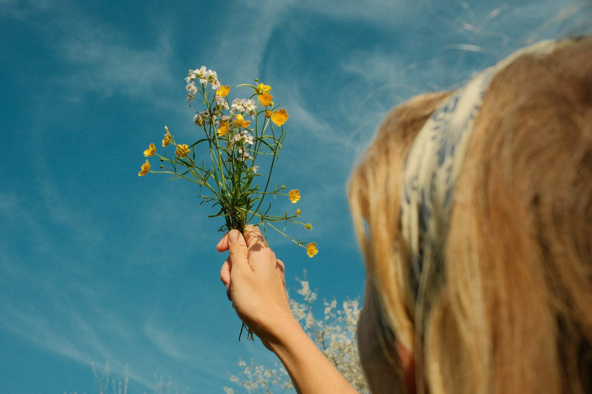 Daily horoscope for August 11, 2026: Your emotions could catch you off guard today — Lifestyle