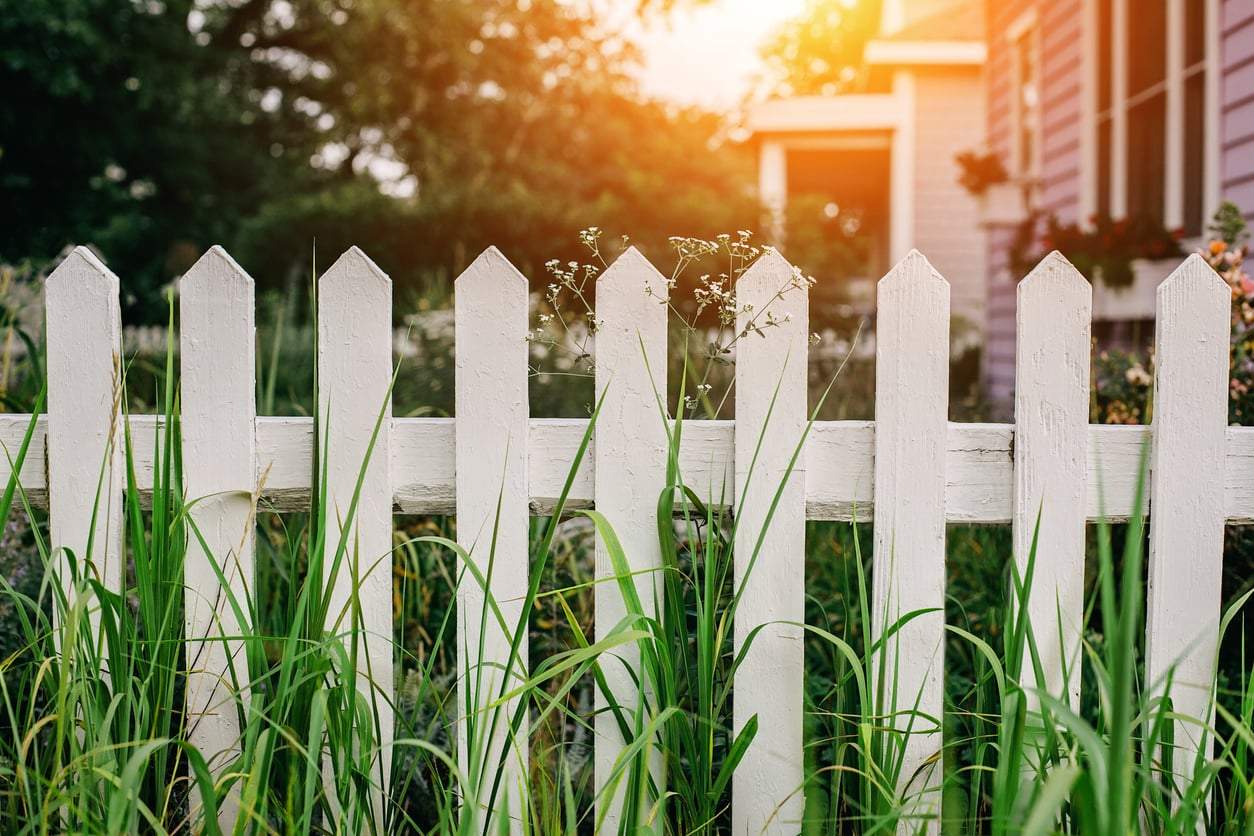 3 Plants You Should Never Grow by the Fence — Unless You Want a Feud with Your Neighbor — Garden & terrace
