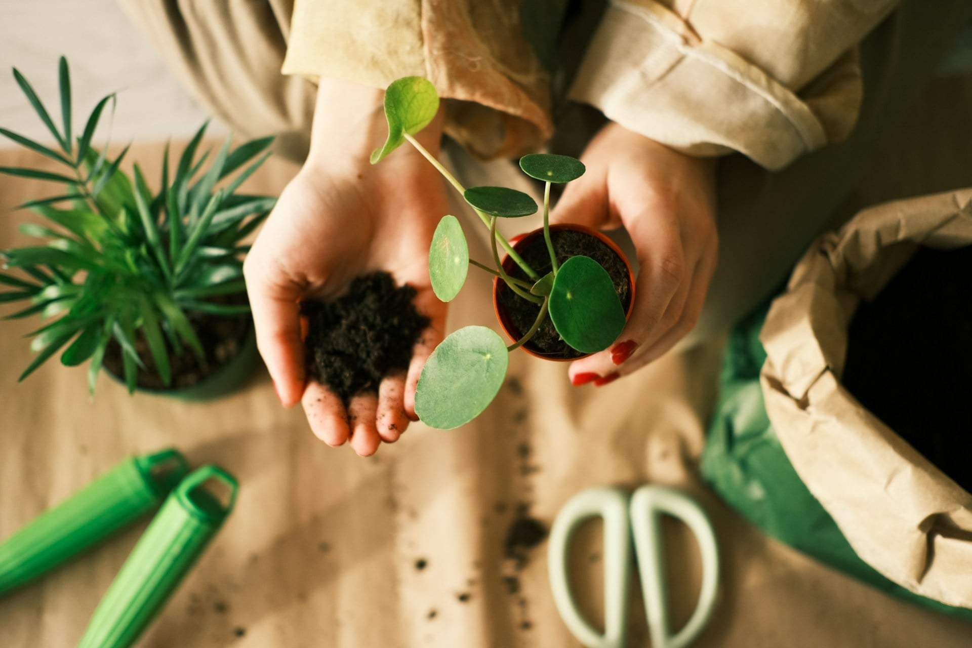 5 soluciones nutritivas caseras que devolverán la vida a tus plantas de interior — Hogar y limpieza