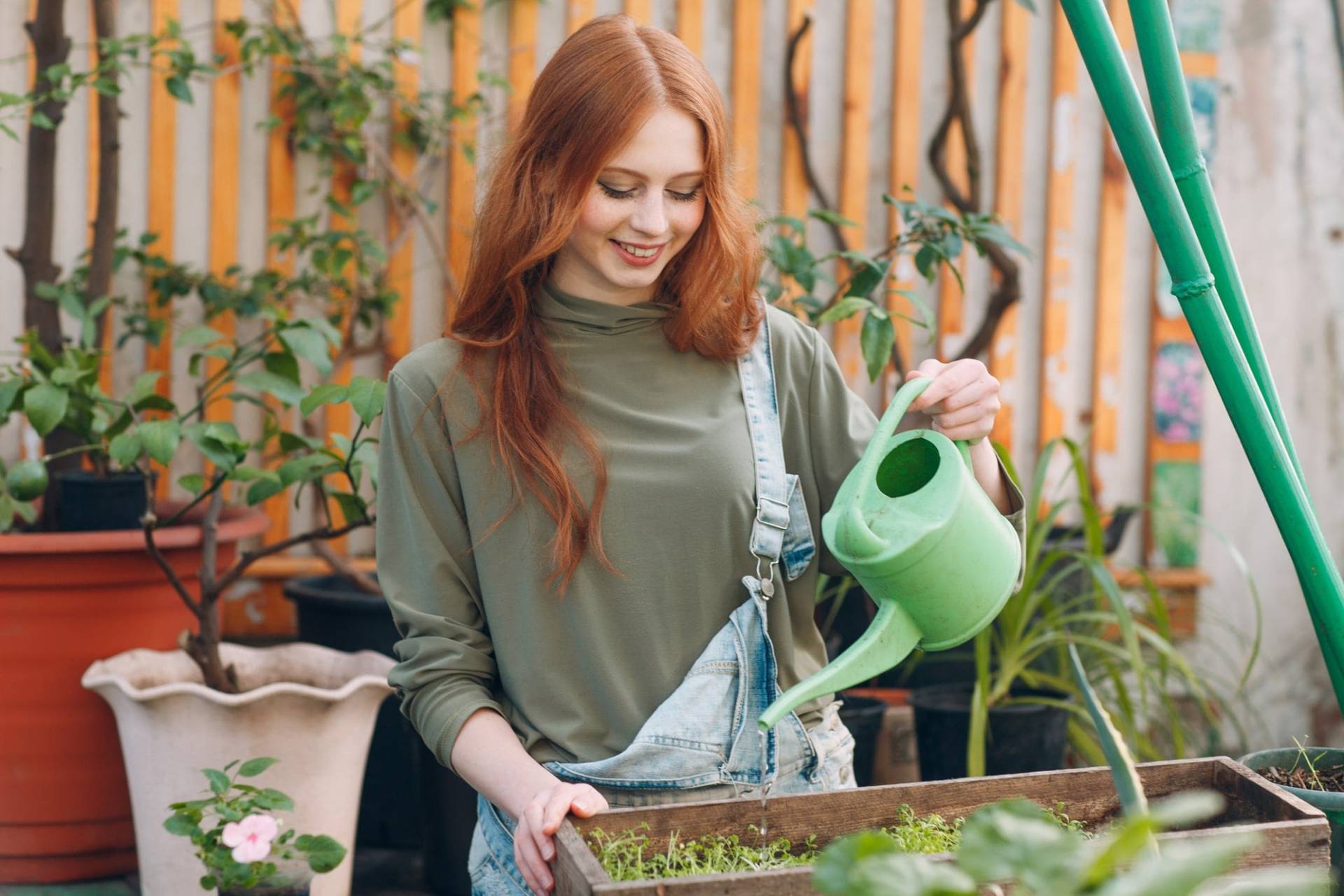 Carta tritata in giardino: 3 trucchi che non ti aspetti