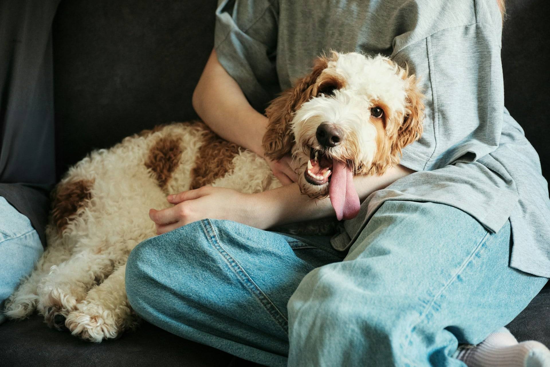 Was dir dein Hund wirklich sagen will: 6 Körpersignale, die alles verraten