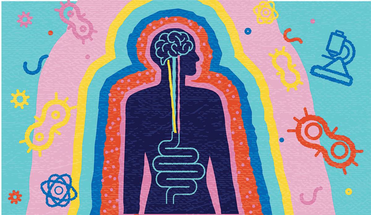 3 faszinierende wissenschaftliche Entdeckungen zur Darm-Hirn-Achse
