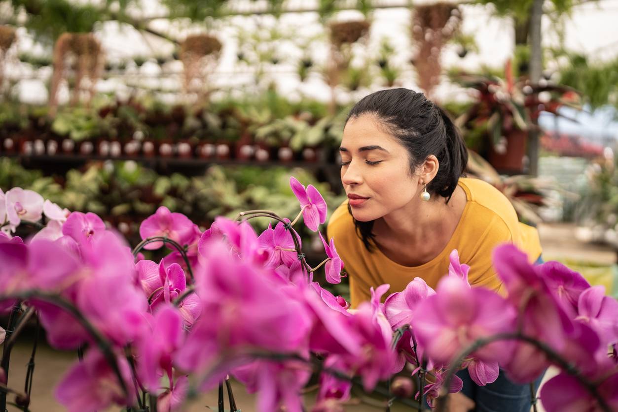 10 Houseplants That Can Bring Luck, Harmony, and Abundance to Your Home
