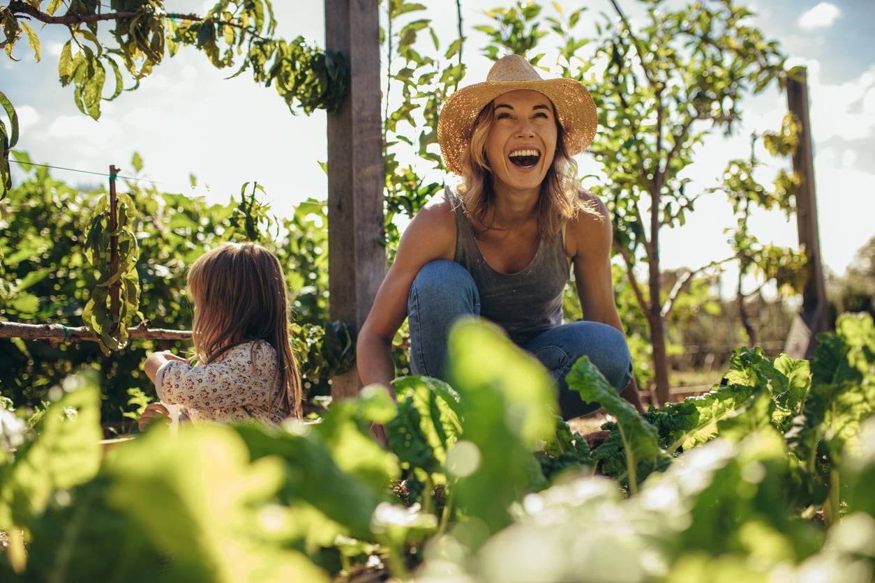 5 ortaggi ed erbe aromatiche da seminare ancora in tarda primavera (e raccogliere già d'estate)