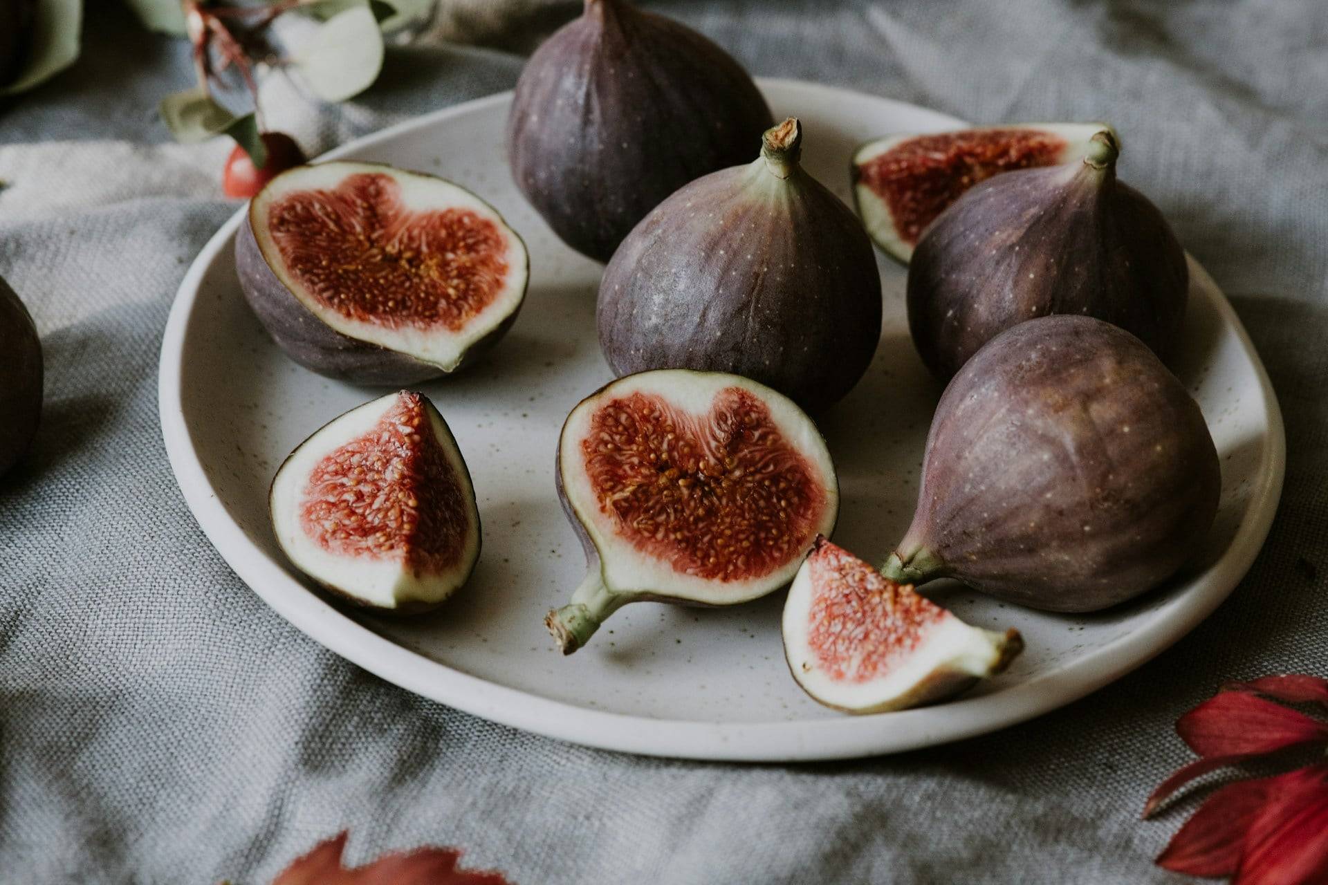 3 exotic tropical fruits that actually thrive in your backyard garden — Garden & terrace
