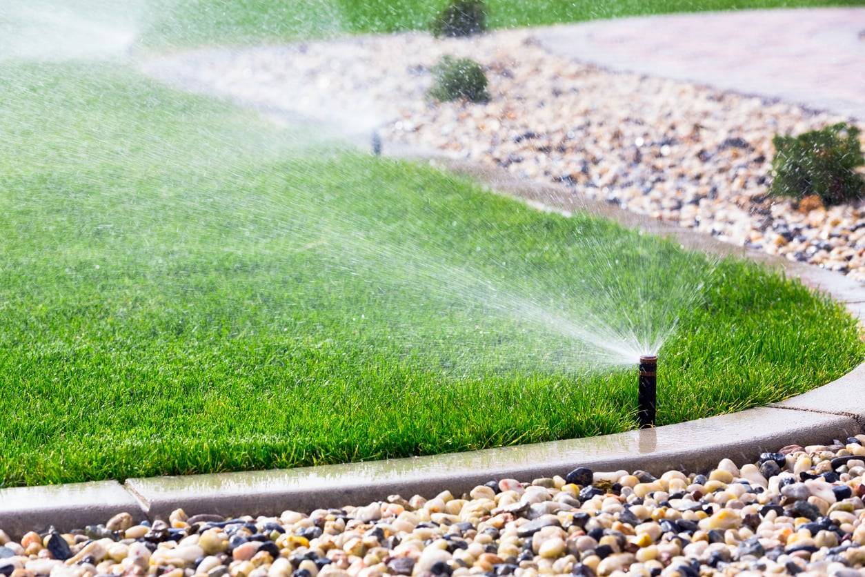 3 errori di irrigazione che bruciano il prato in estate (e come evitarli)