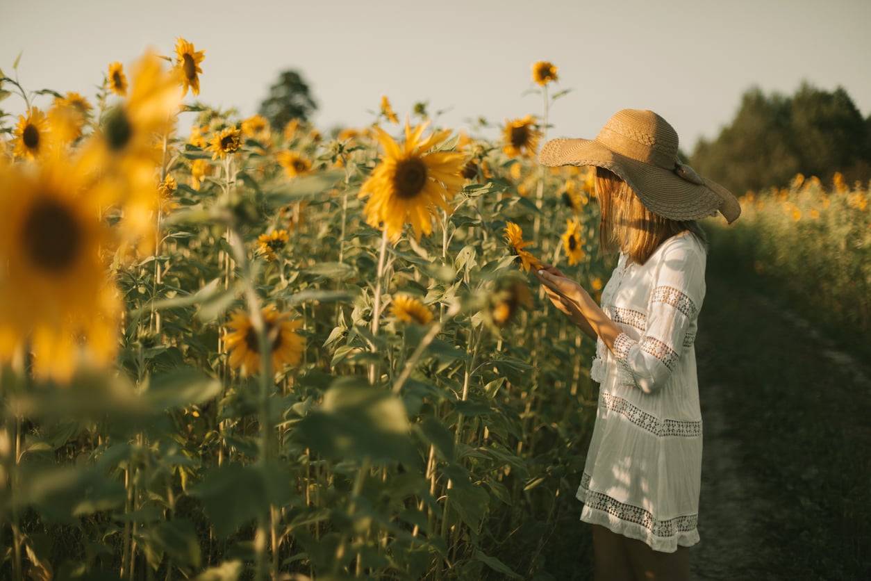 Leo season is here: what it unlocks for every zodiac sign
