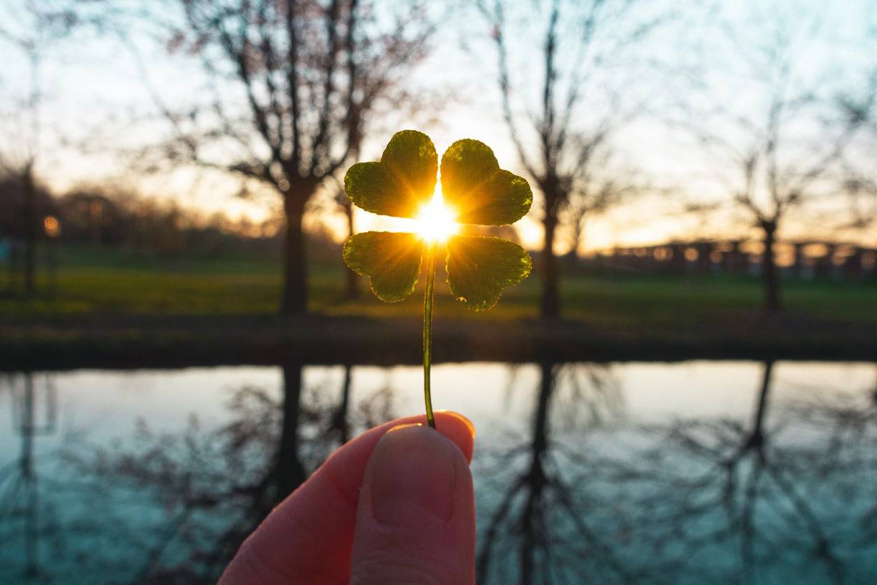 5 Zodiac Signs That Luck Has Chosen at the End of October