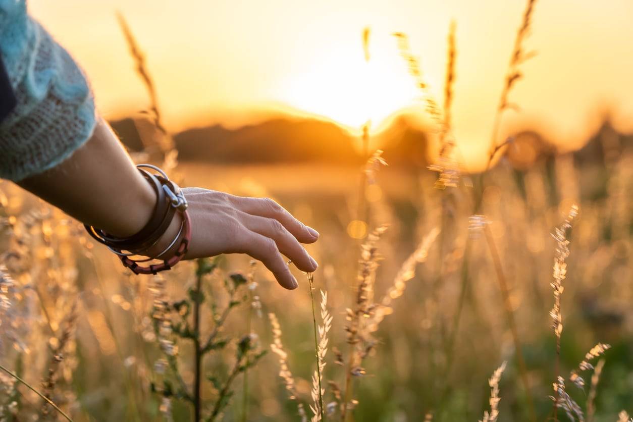 5 Zodiac Signs the Taurus Full Moon Will Show What's No Longer Worth Fighting For