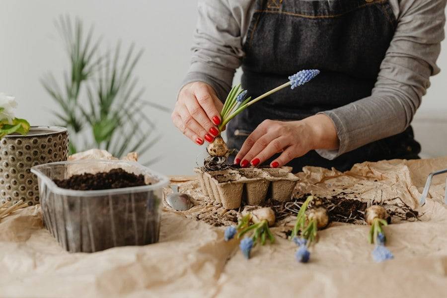 10 plantas que debes plantar ahora si quieres ver flores en los primeros días de primavera
