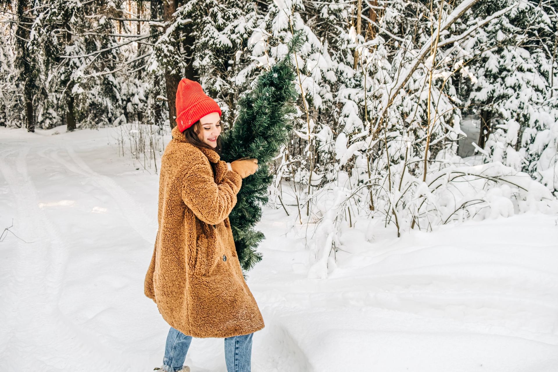 How to Keep Your Christmas Tree Fresh Until January — Household
