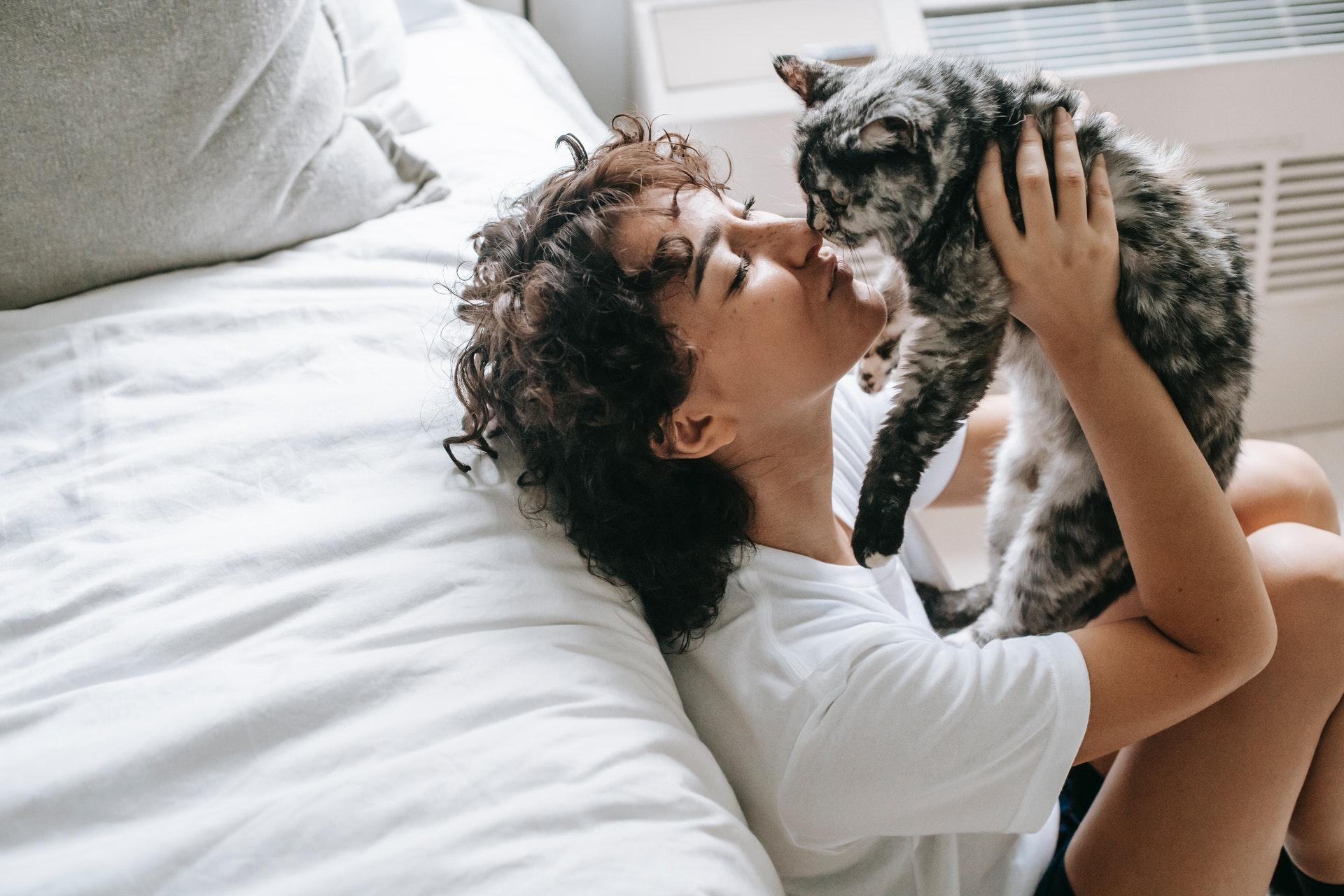 Es gibt eine wissenschaftliche Erklärung dafür, warum wir unsere Katze wie ein Kind behandeln — Familie