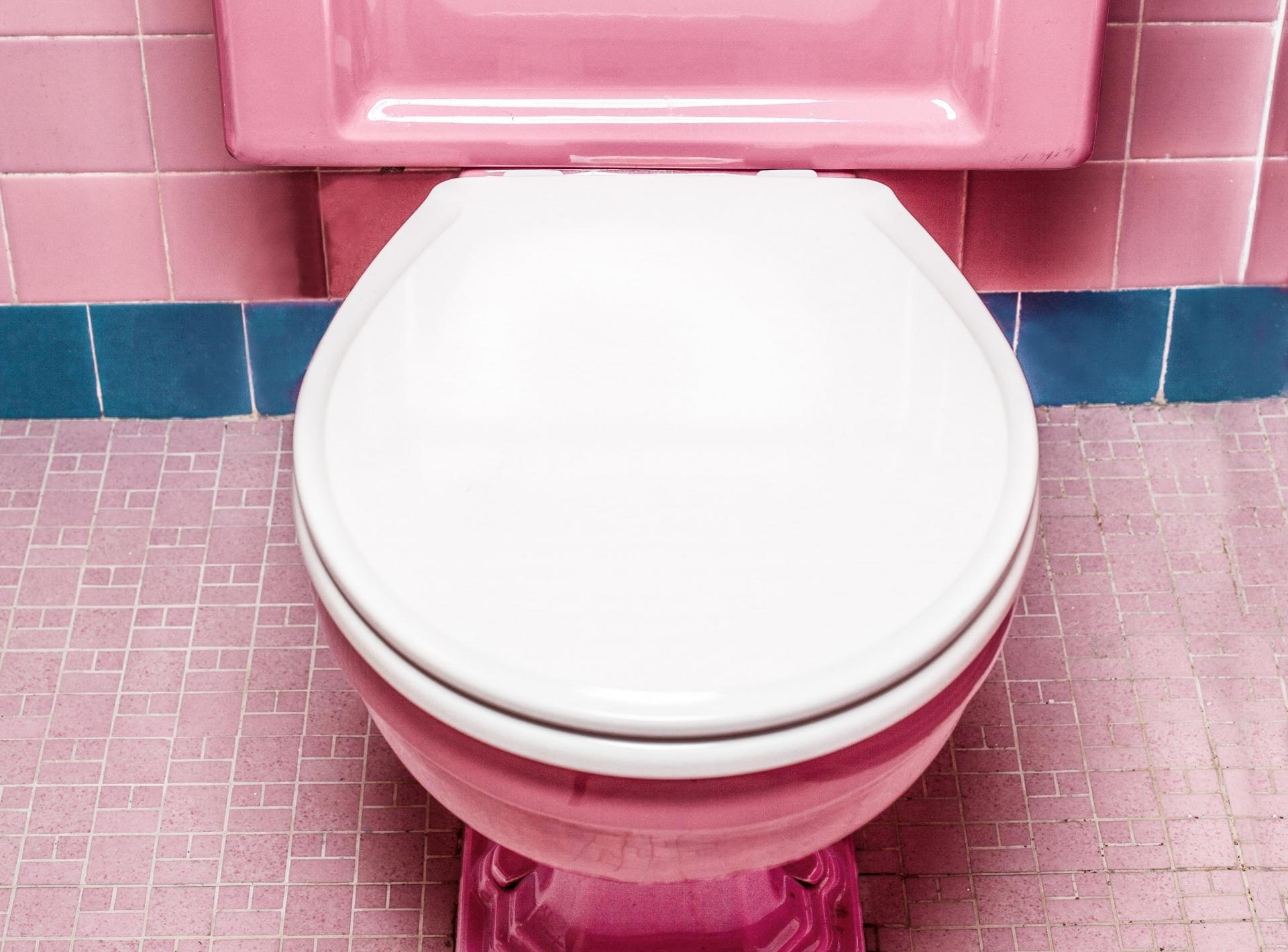 You’ll Never Leave the Toilet Seat Up Again After Seeing These Photos&nbsp; — Household