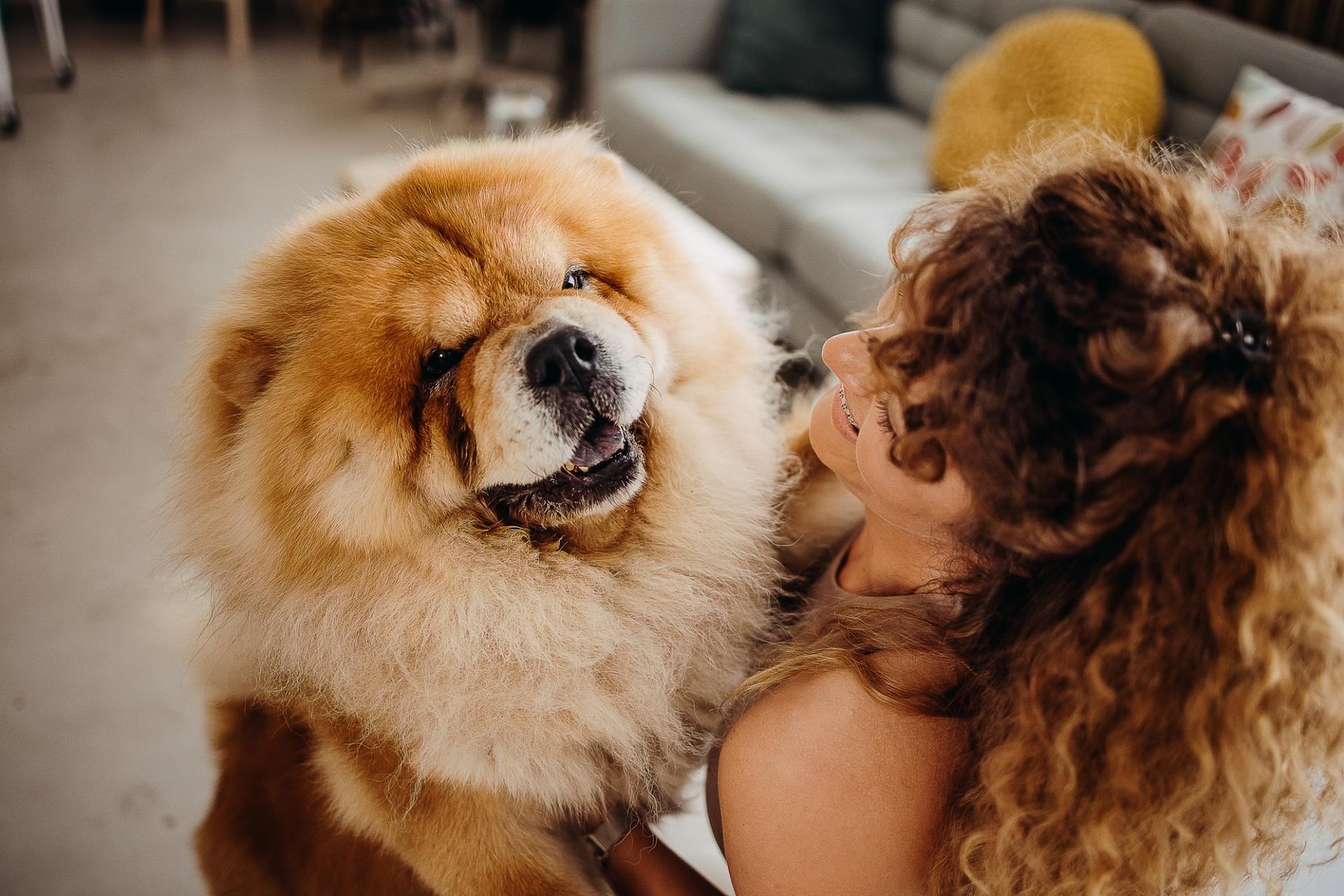 Le 5 razze di cani più adorabili che ricordano un orsacchiotto di peluche — Famiglia