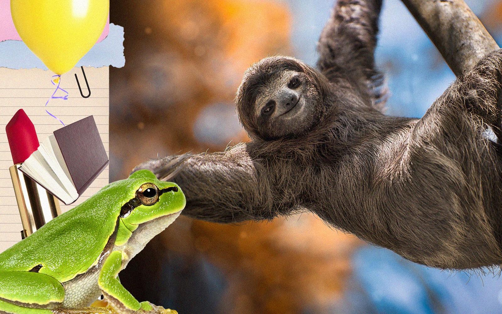 « La pomme de terre verte peut tuer » – 10 faits étranges mais vrais qui vont vous épater — Loisirs