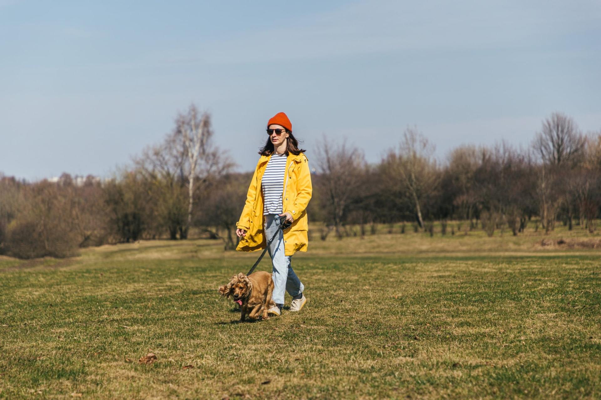 ¿Paseas a tu perro justo después de comer? Este error puede costarle la vida — Familia