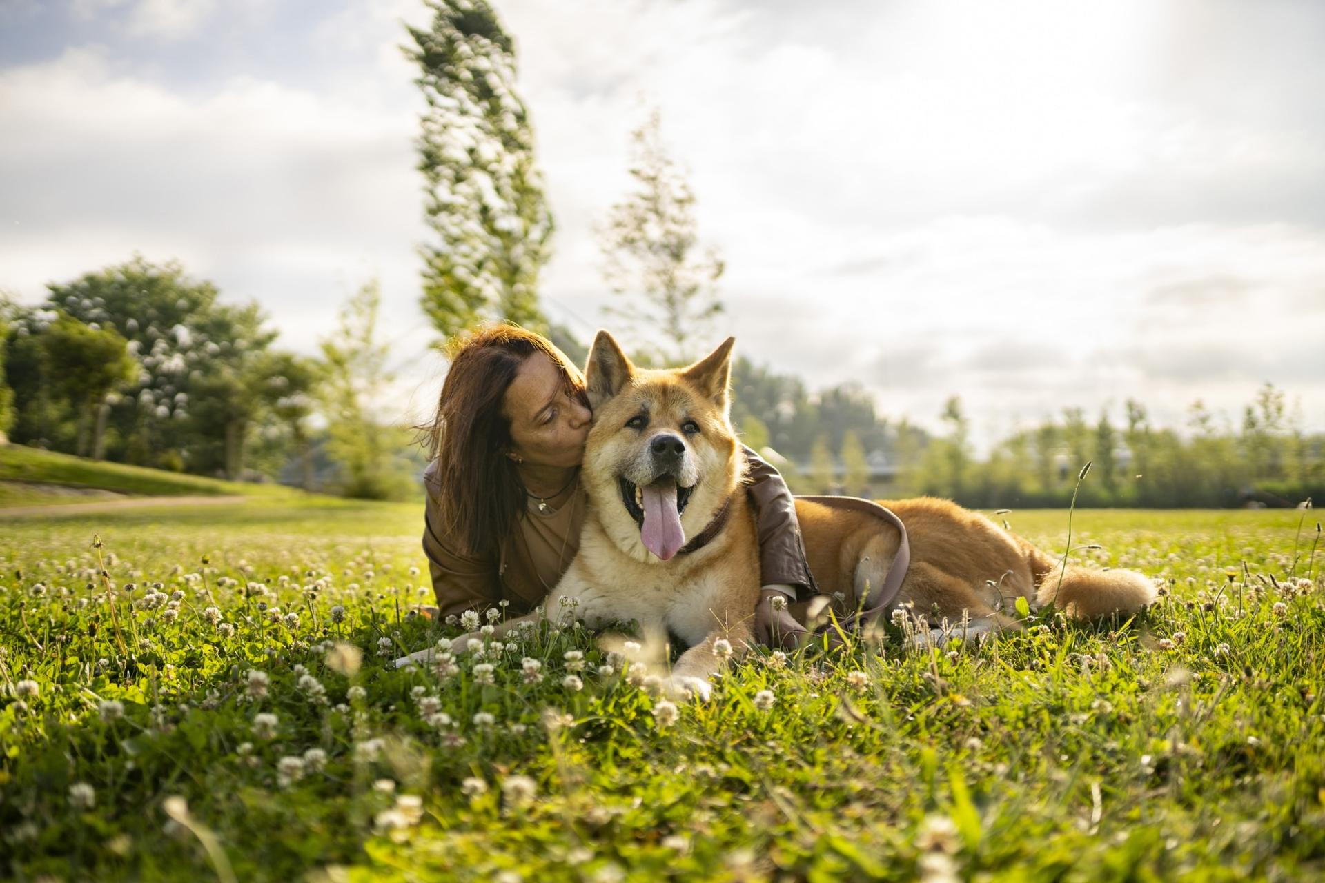 7 razas de perros para dueños con experiencia, no para principiantes — Familia
