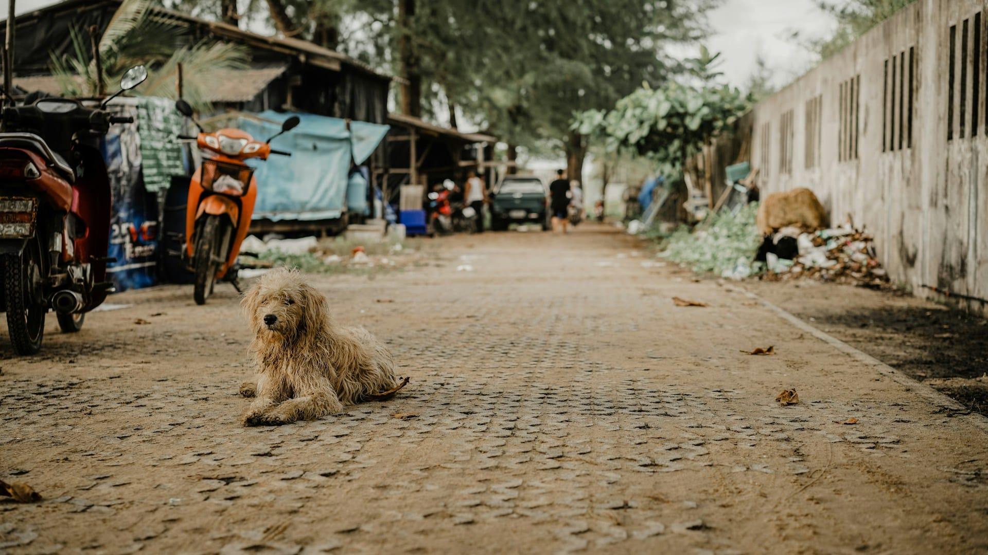 « Quand il buvait l’eau du robinet, mon cœur s’est arrêté » – Ceux qui avez grandi dans un pays pauvre, qu’est-ce qui vous a le plus surpris en Occident ? — Loisirs