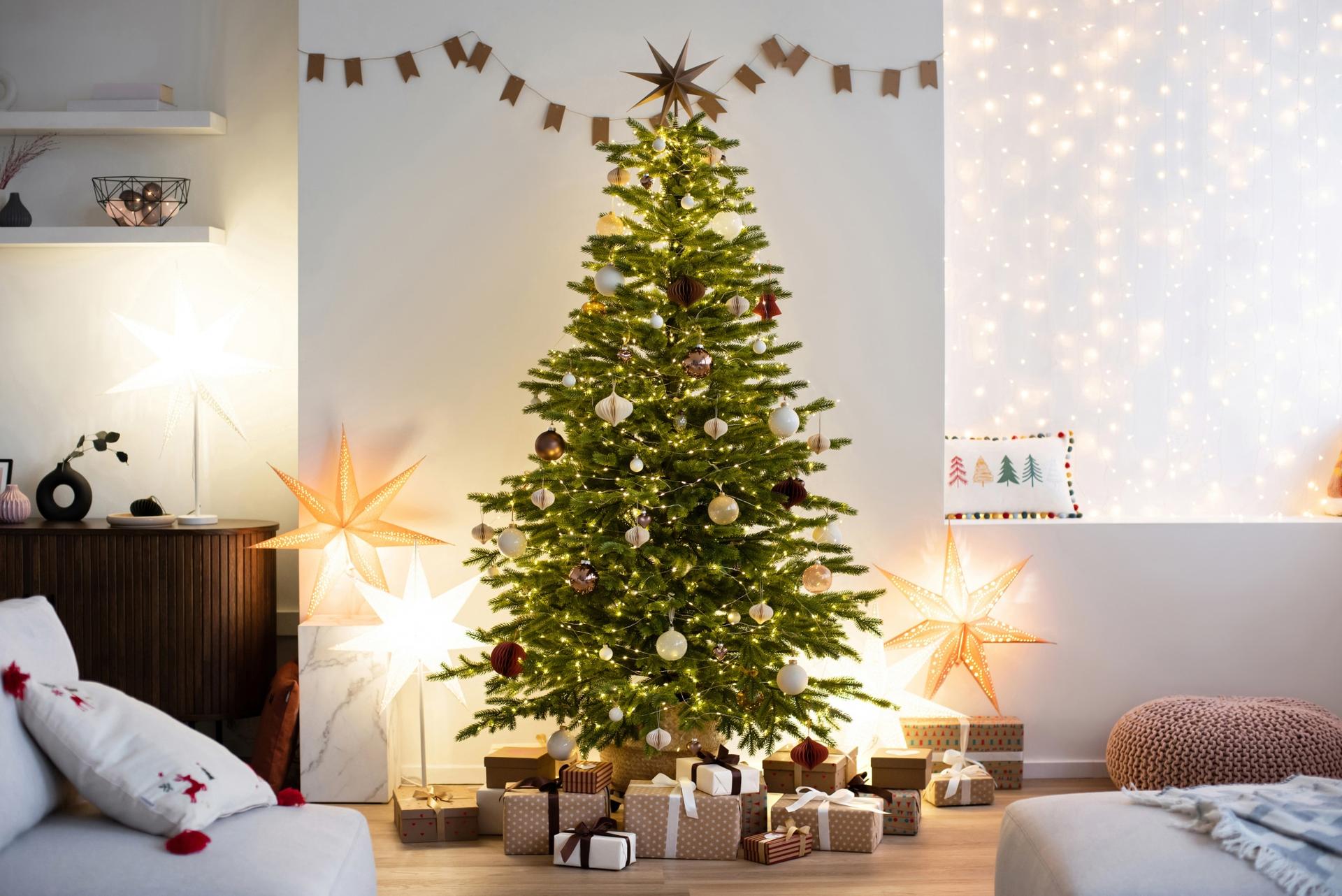 Scegli un albero di Natale e ti sveliamo cosa dice di te! — Lifestyle