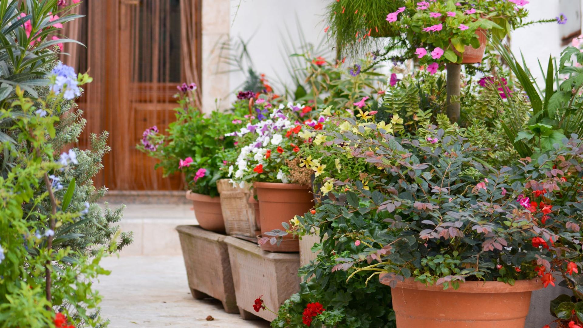 Filler Materials for Large Flower Boxes - 8 Ideas You'll Love — Garden & terrace