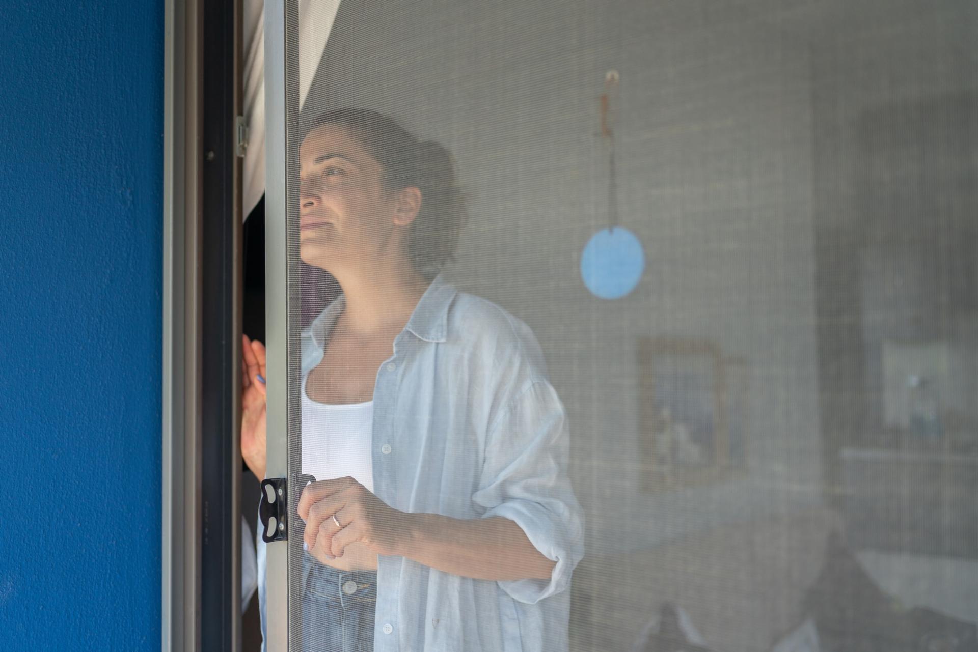 How to Clean Your Window Screen of Dust and Pollen (Without Taking It Down) — Household