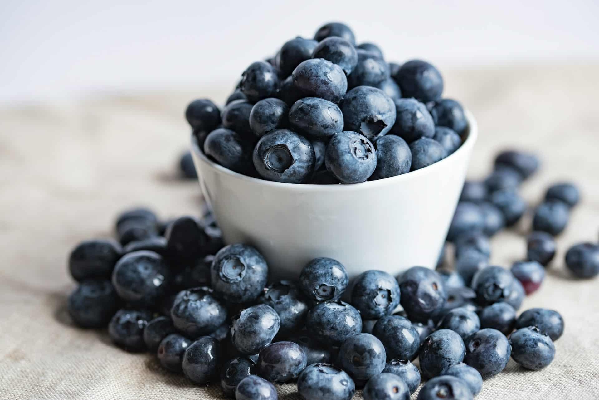 Blueberries Boost Your Brainpower. Here’s How! — Lifestyle
