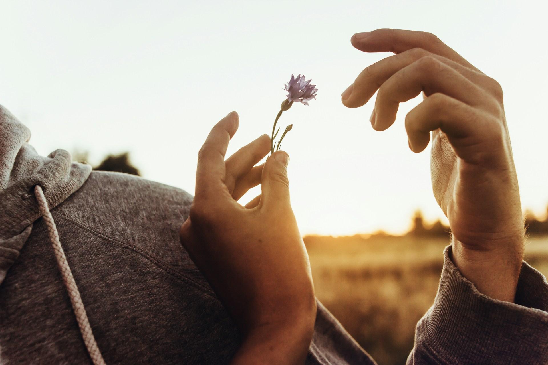 Secondo la saggezza orientale, così riconosci la tua anima gemella — Lifestyle
