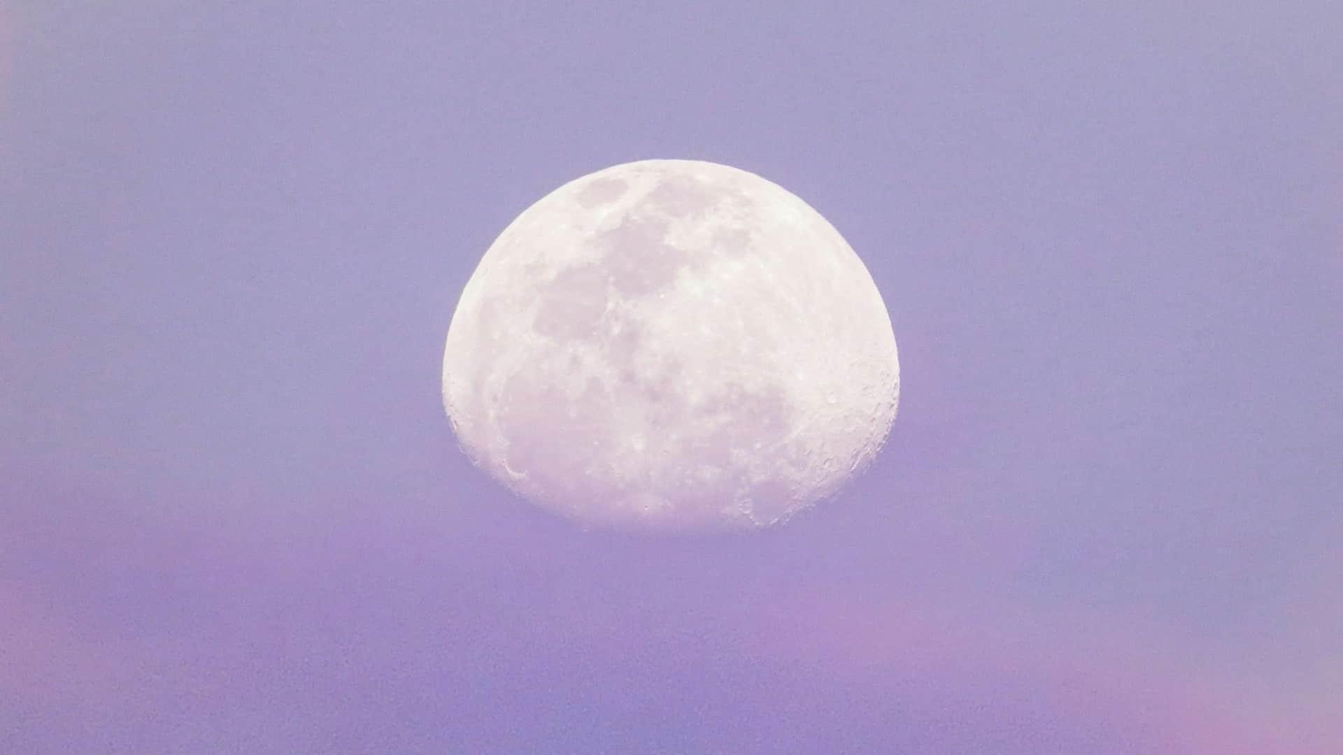 Diario lunare di agosto: lascia andare, crea e ascolta te stesso — Lifestyle
