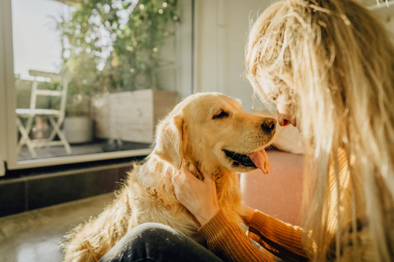 ¿Cómo calcular con precisión la edad de tu perro? — Familia