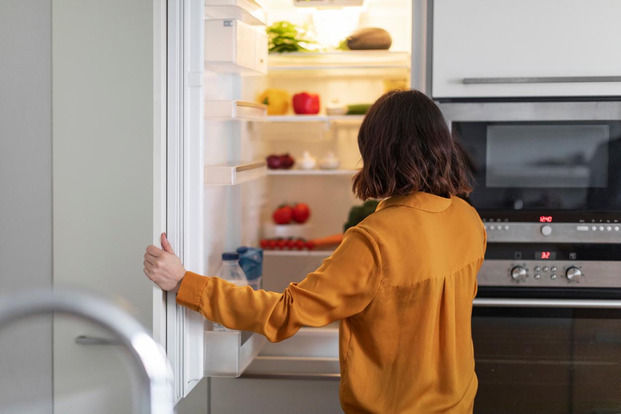 À quelle température régler votre réfrigérateur pour rester en bonne santé — Ménage