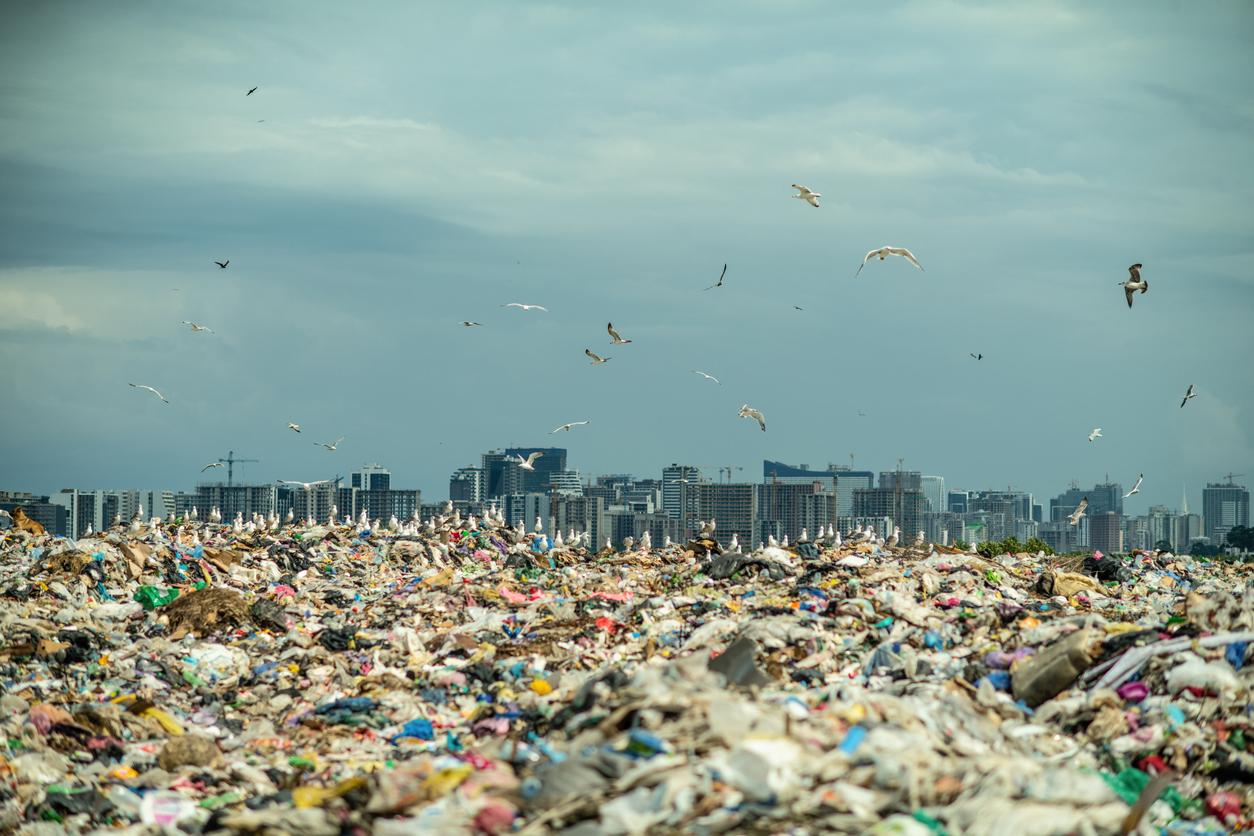Sbalorditivo: sulla Terra c’è più plastica che biomassa vivente — Tempo libero