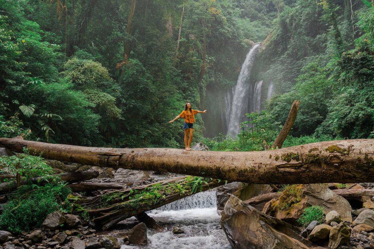 Viví cinco meses en el bosque: esto aprendí sobre la belleza — Estilo de vida