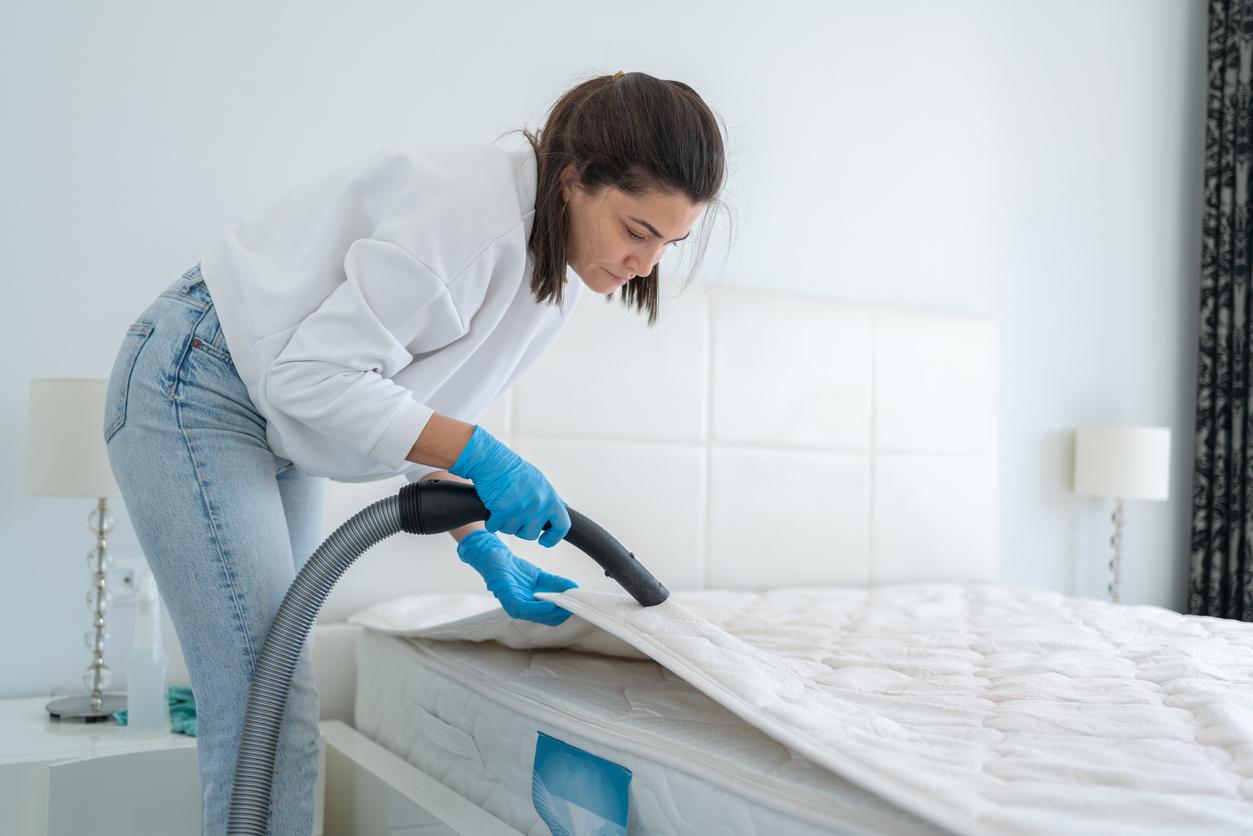 Anche a casa tua: 7 fatti disgustosi sugli acari della polvere — Economia domestica