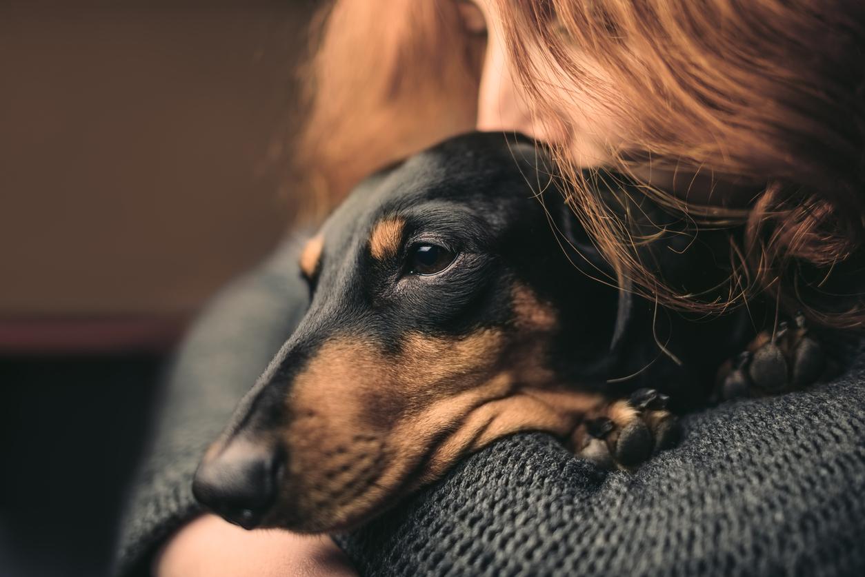 Mon chien ressent mieux quand je vais mal que quiconque — Mode de vie