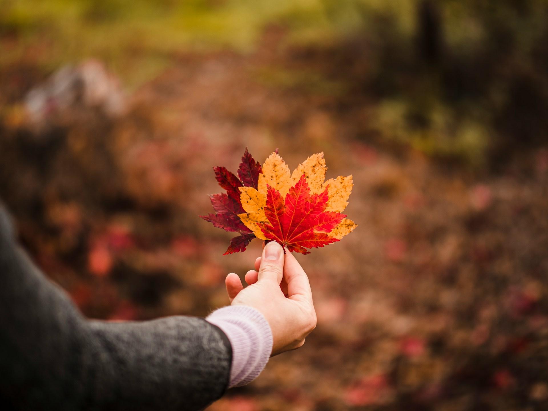 Nouveautés d’octobre en horoscope qui vont transformer ton année — Mode de vie