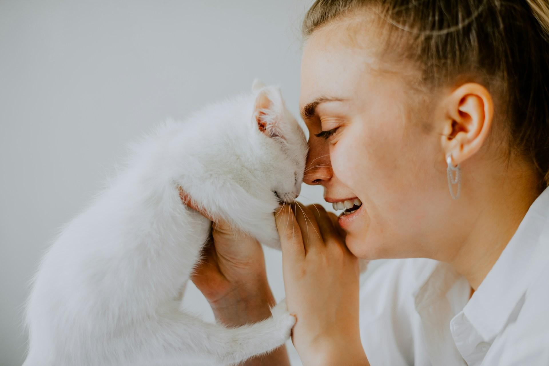 6 bienfaits du ronronnement de votre chat sur votre corps — Santé
