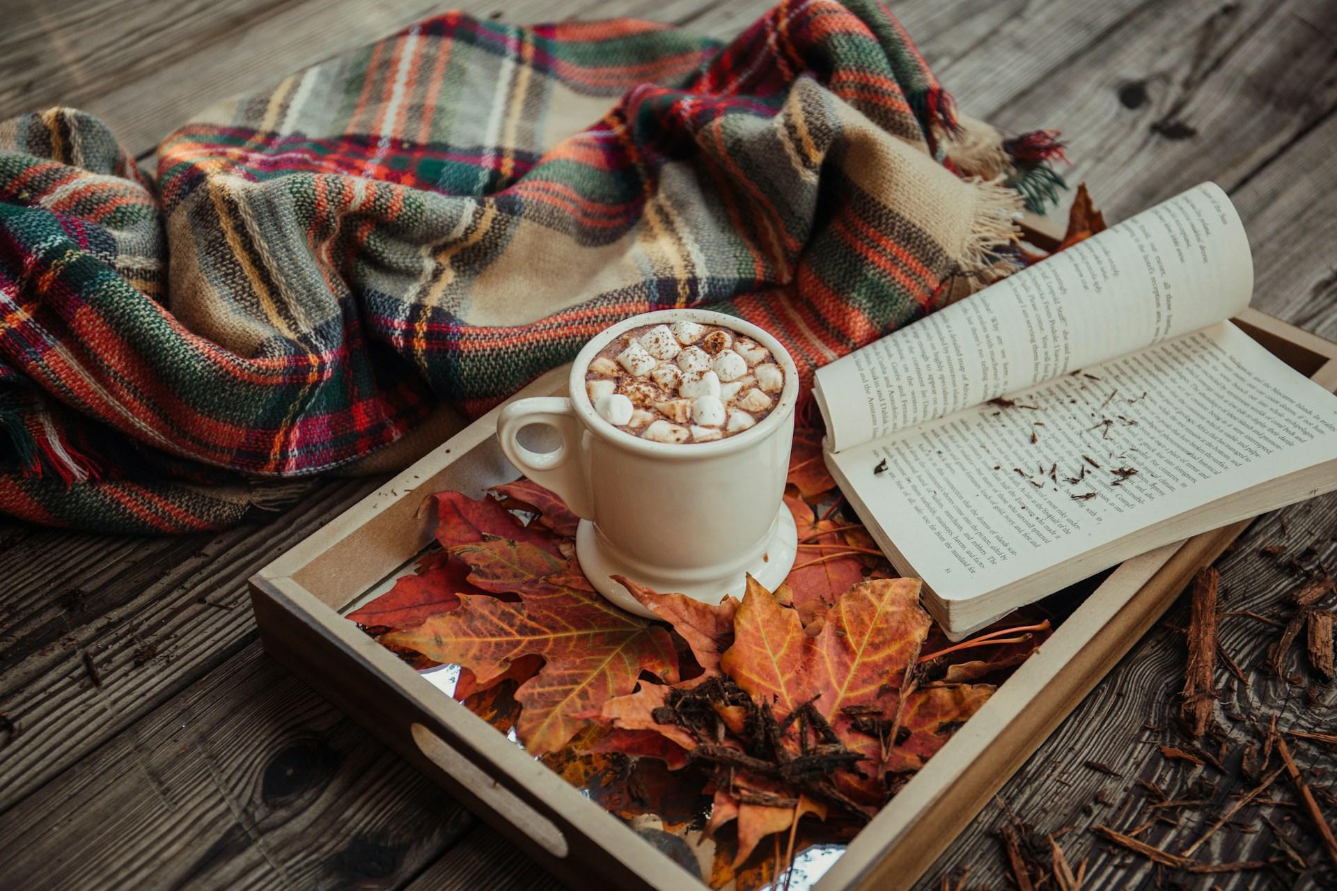 5+1 romans classiques hongrois à lire absolument cet automne — Loisirs
