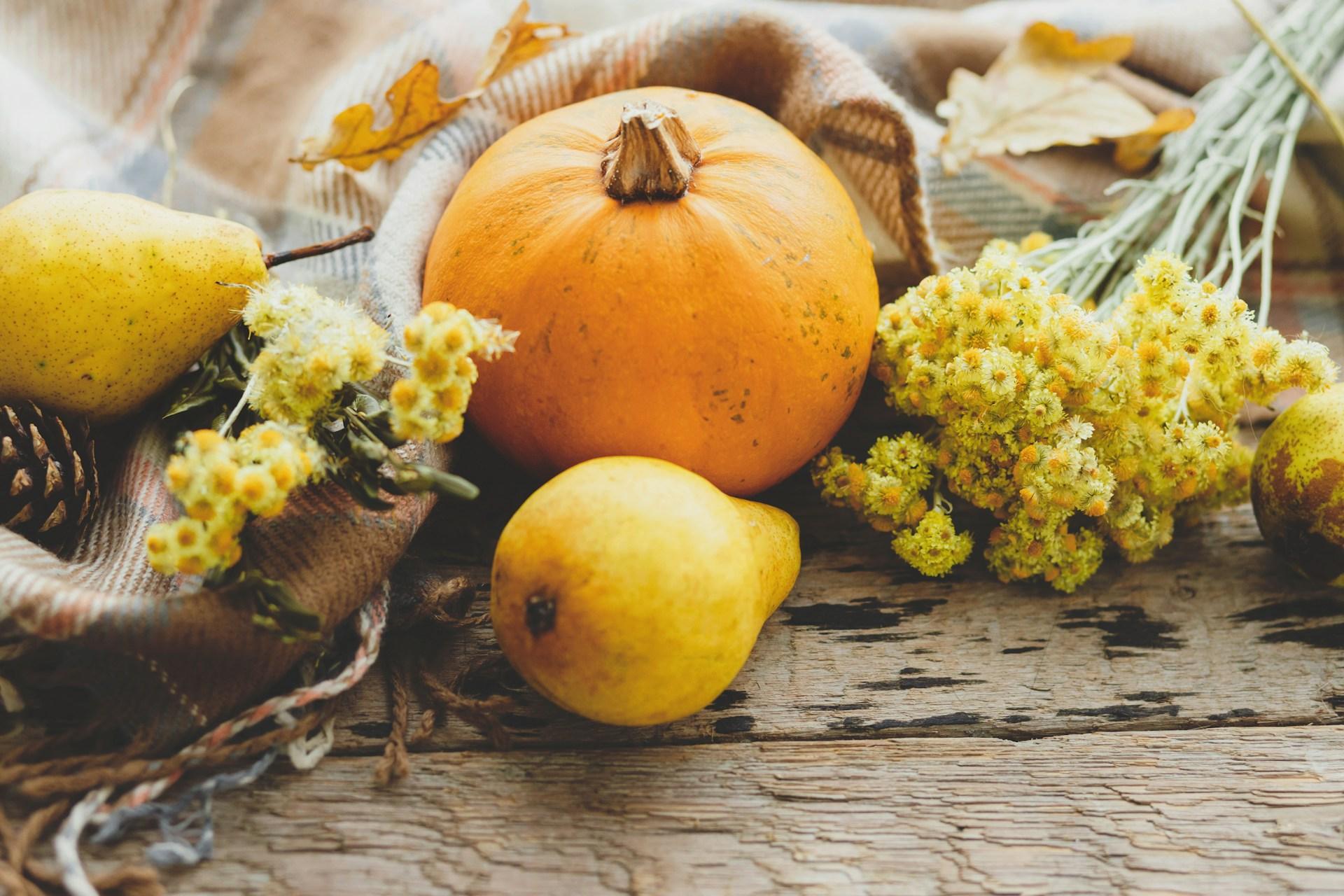 Horoscope de novembre : des jours clés pour chaque signe du zodiaque — Mode de vie