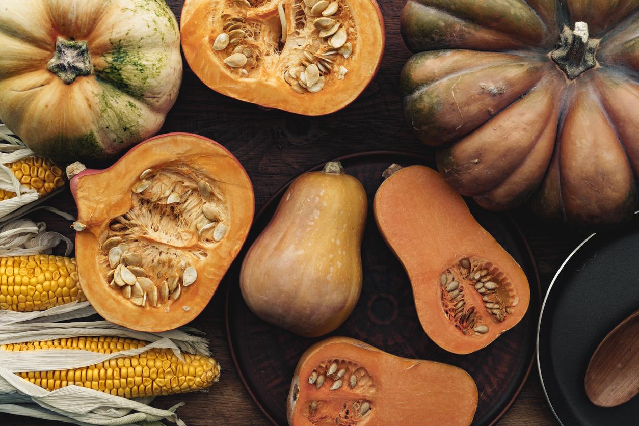 Zucca vs. zucca butternut – Scopri qual è la tua alleata autunnale più sana — Lifestyle