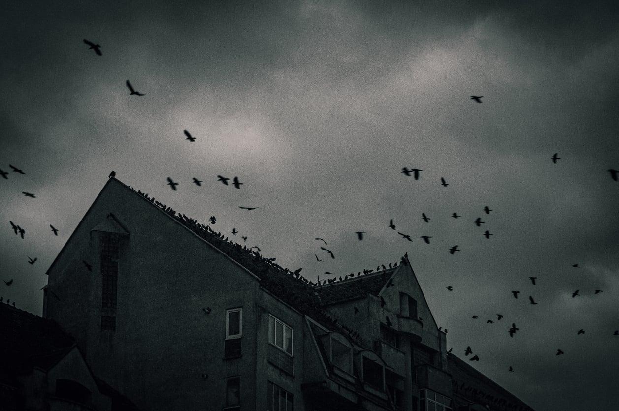 5 film spaventosamente belli per la serata di Halloween da non perdere — Lifestyle