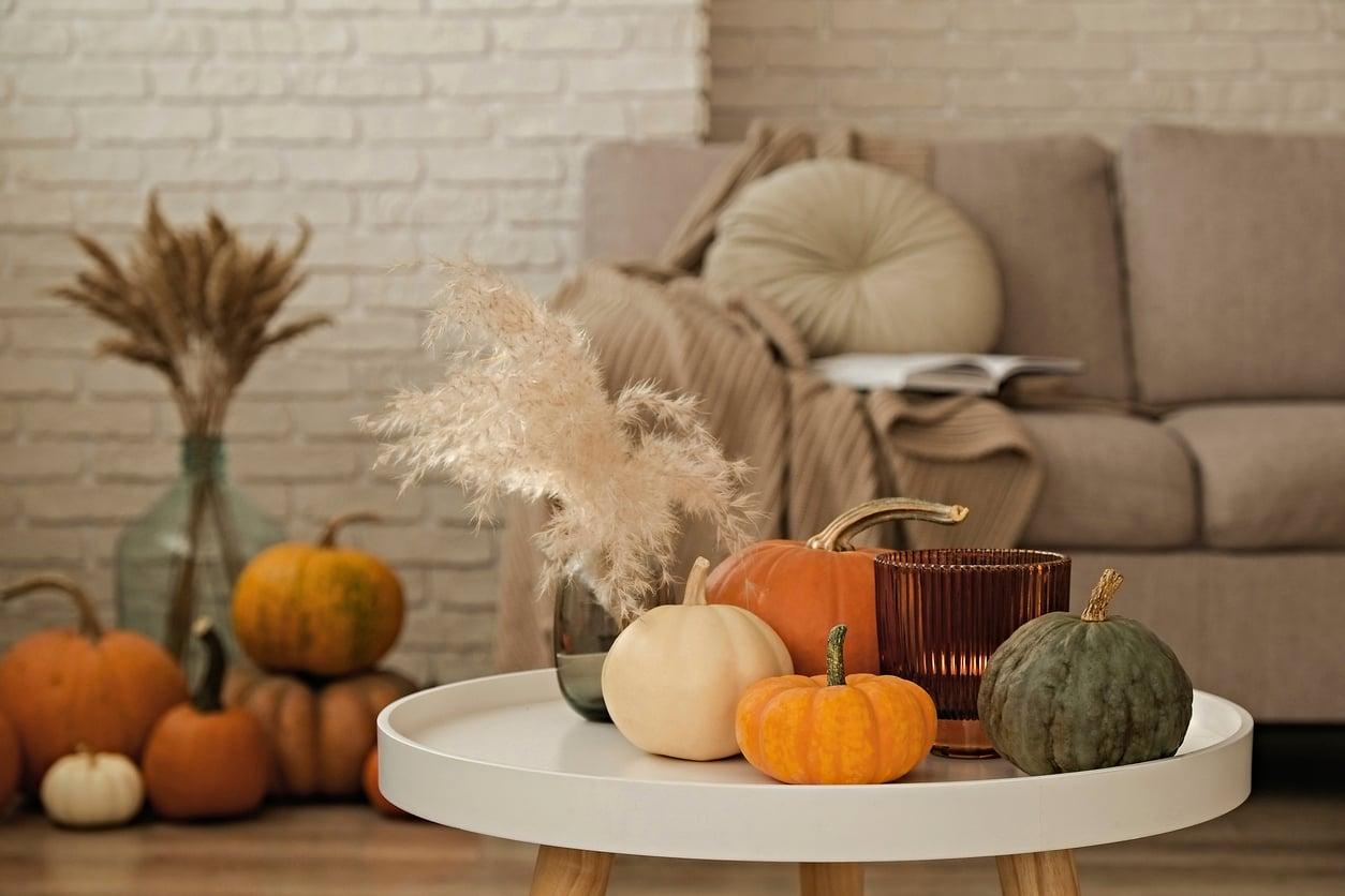 Comment créer une déco tendance d’automne avec des courges décoratives à petit prix — Décoration