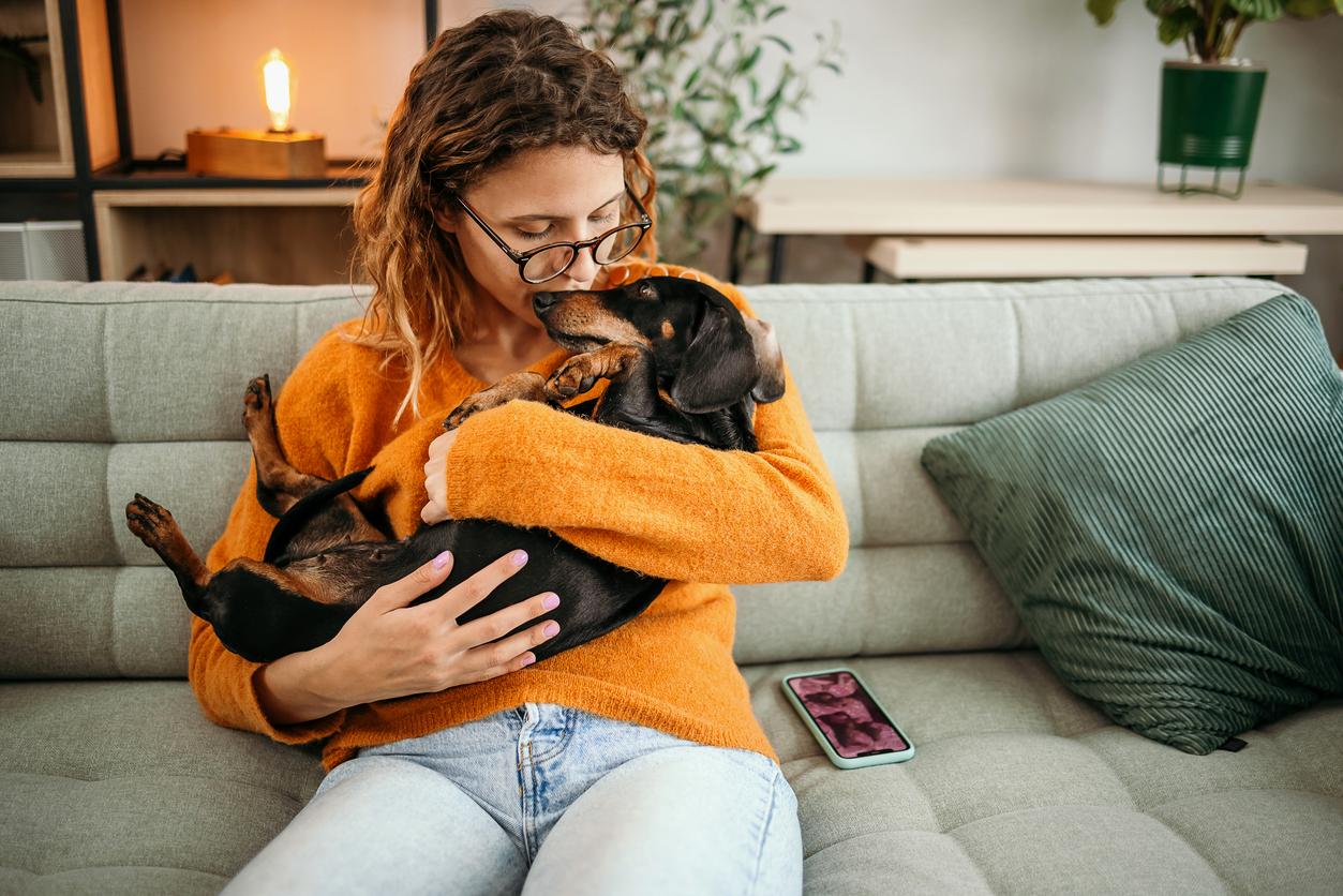 Dolore e impotenza: la mia vita con un cane anziano e cieco — Famiglia