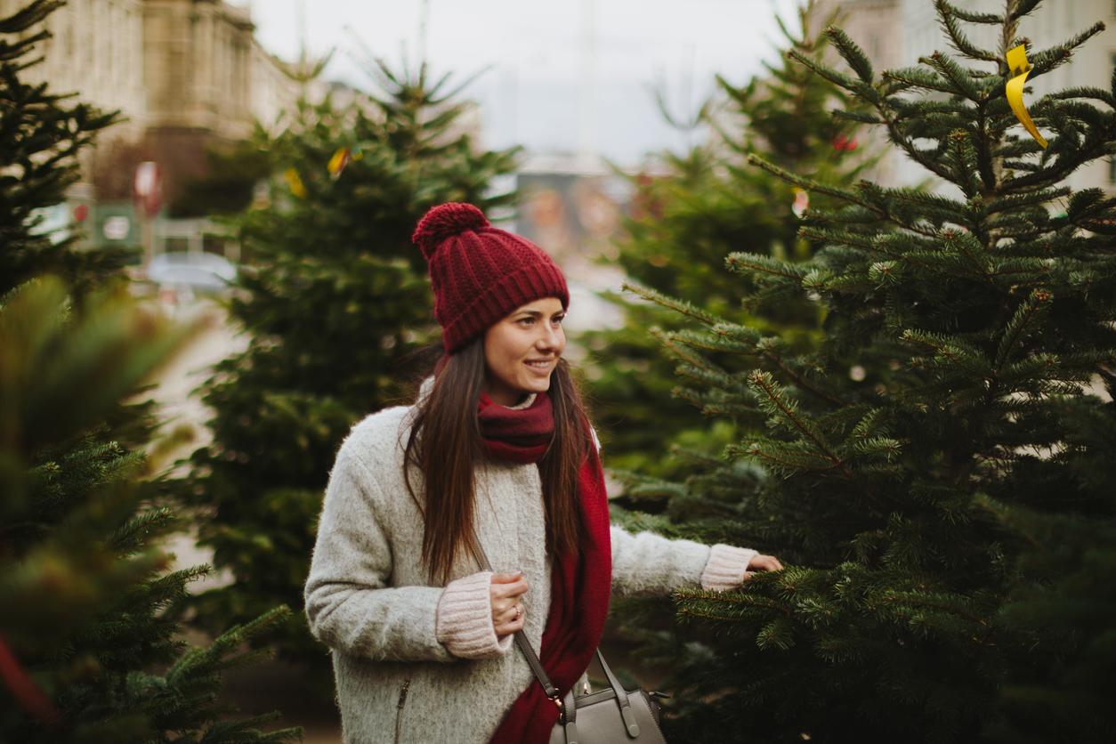 Expert Tips for Buying Your Christmas Tree – Avoid These Common Mistakes! — Decor