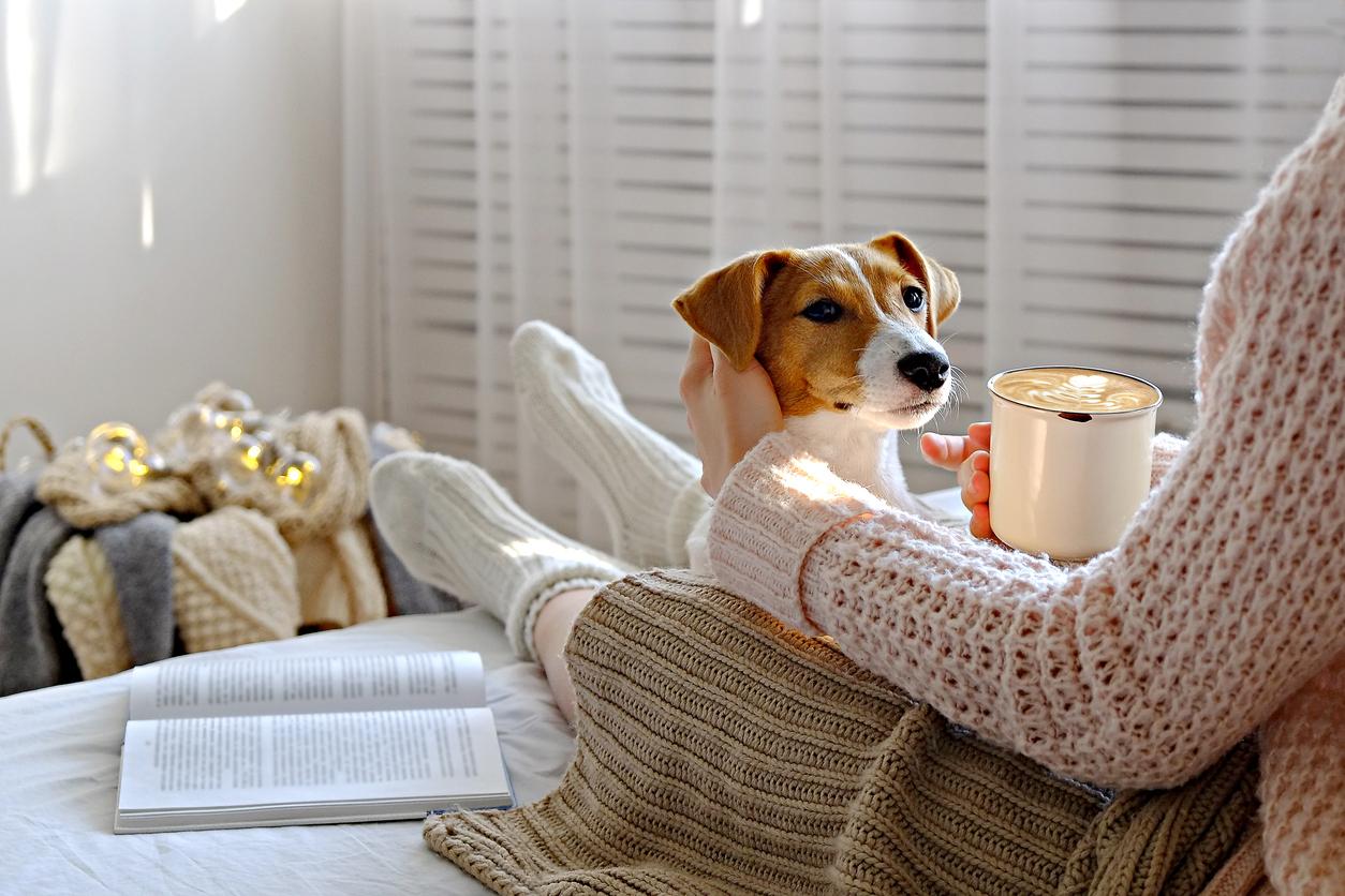 Oroscopo quotidiano 18 novembre 2025: piccoli successi per martedì — Daily horoscope