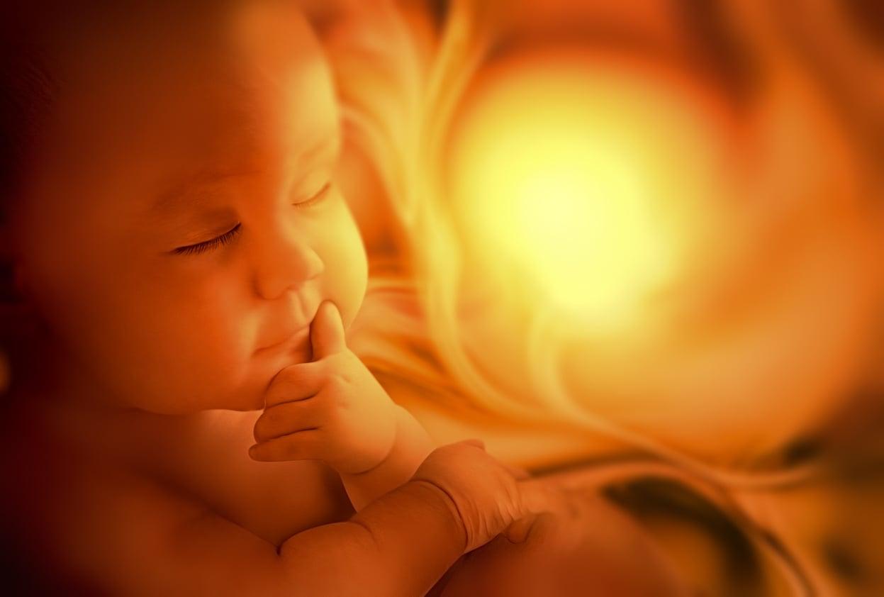 8 fatti sorprendenti sul periodo fetale che pochi conoscono — Famiglia