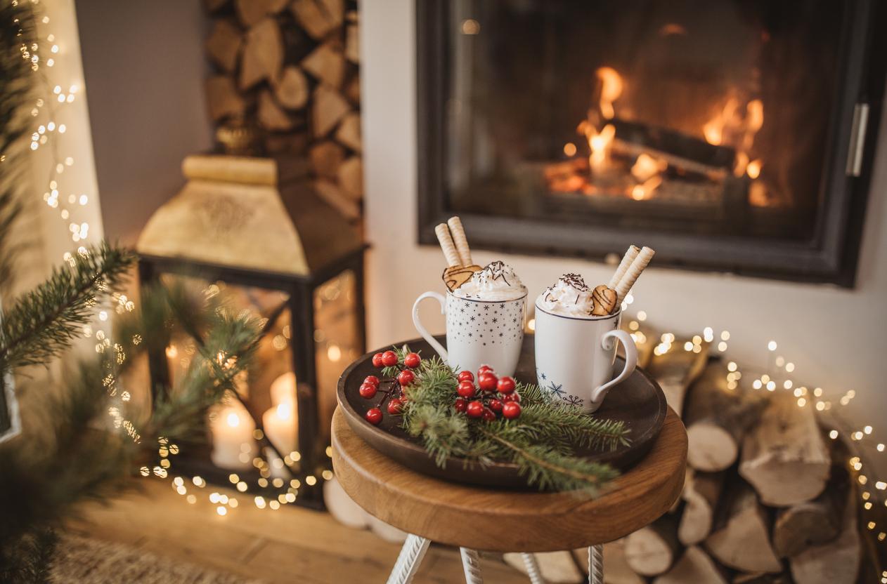 7 decorazioni natalizie “gratis” che puoi trovare in natura — Arredo