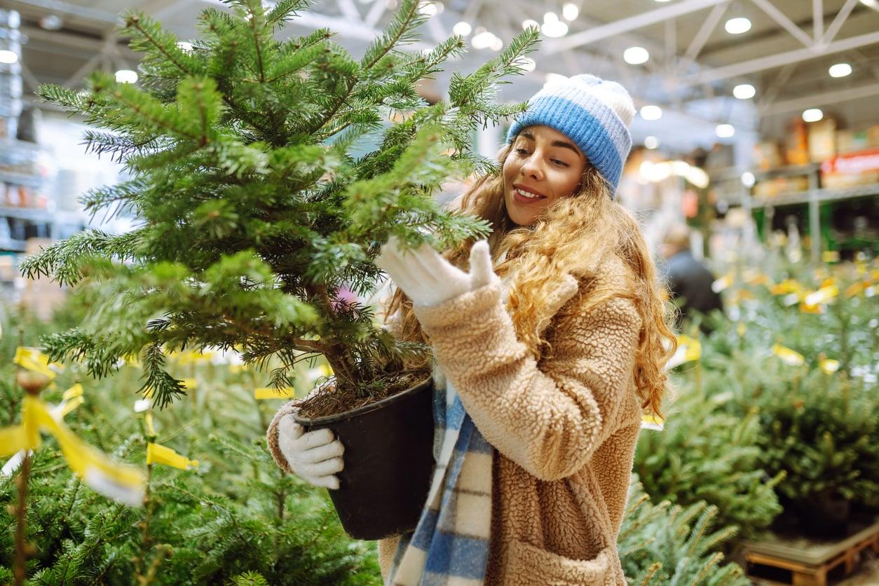 Mon Noël durable : comment je fais pour que la Terre en profite aussi — Ménage