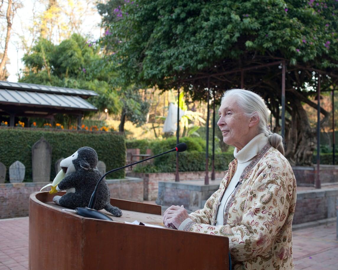 11 hábitos diarios de Jane Goodall que la ayudaron a vivir 91 años — Salud