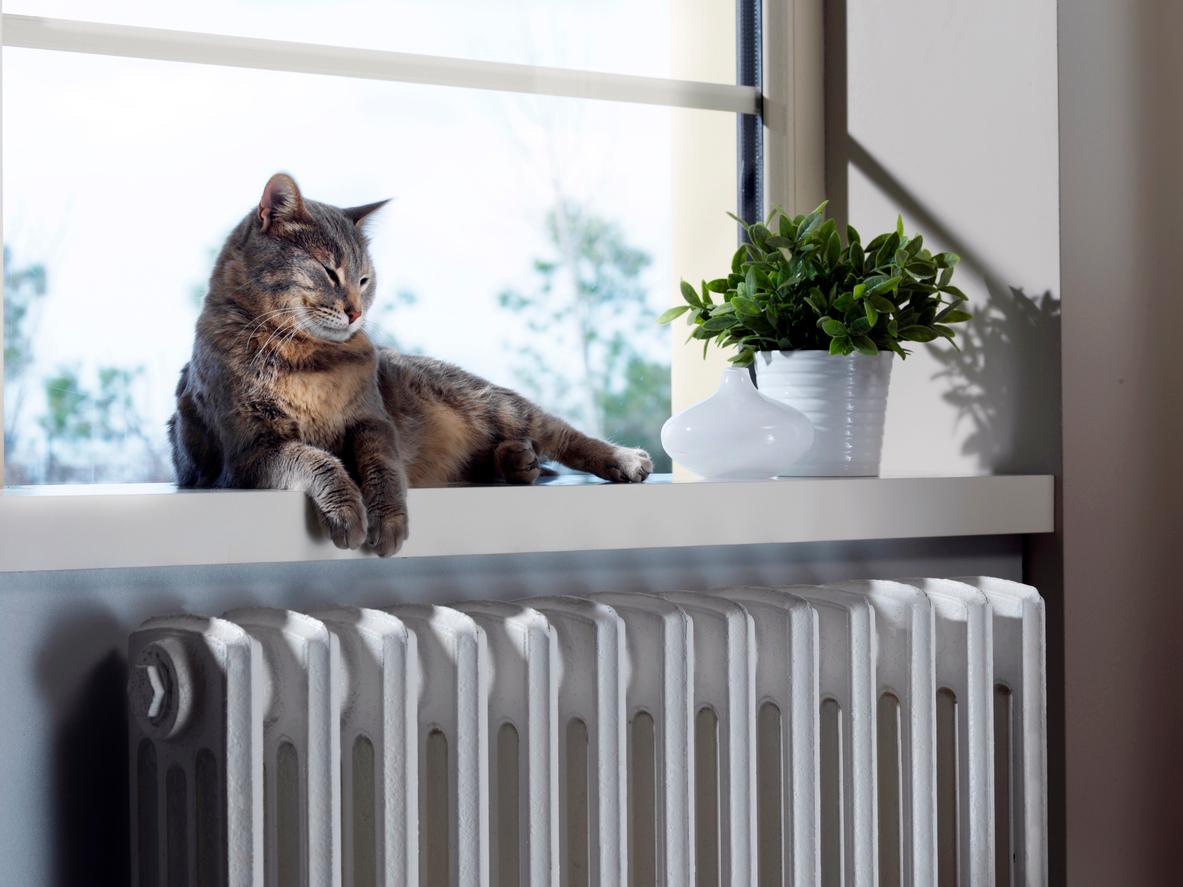 Según científicos, así te afecta calentar demasiado tu casa — Hogar y limpieza