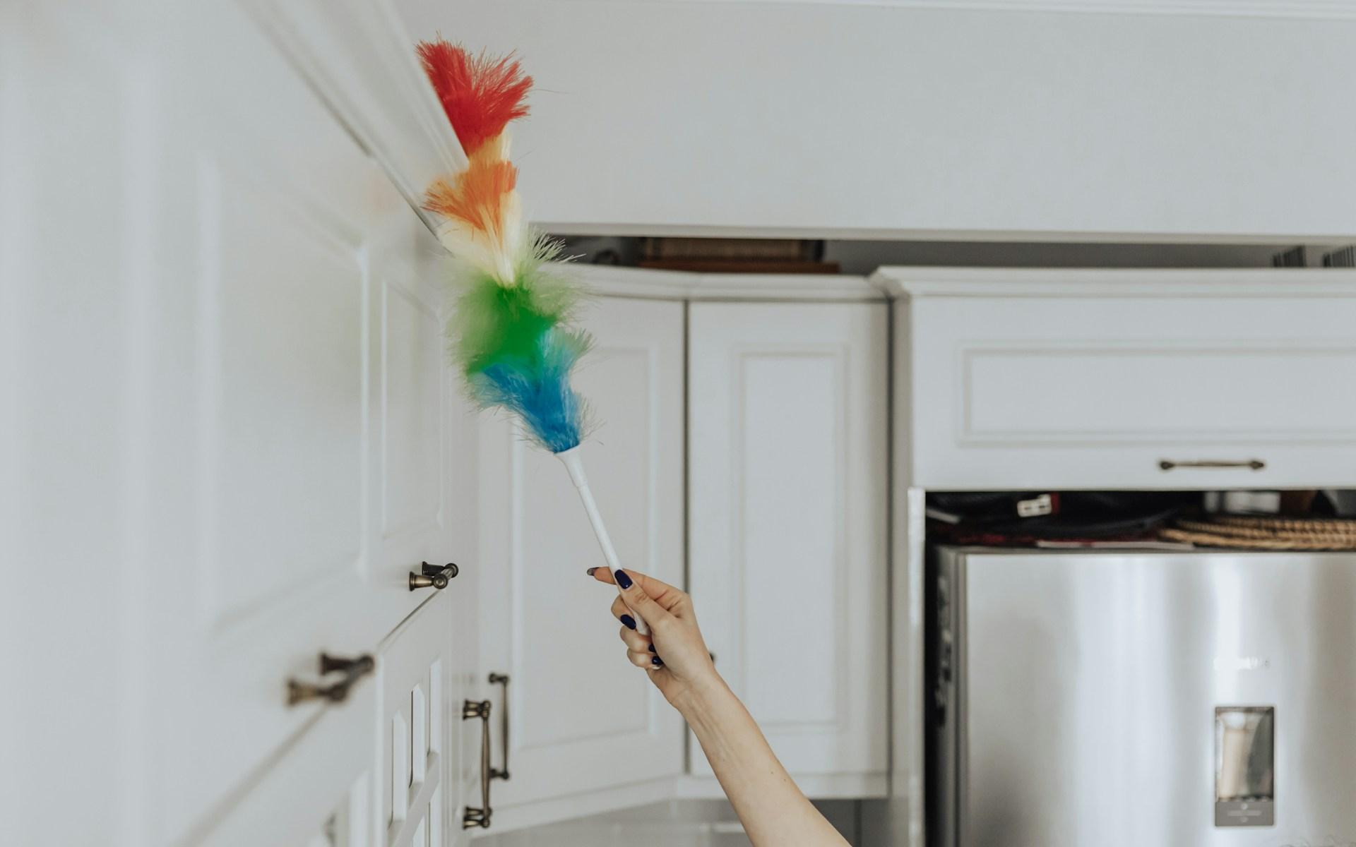 Keep Your Home Dust-Free for Weeks – Pro Cleaners’ Secrets — Household